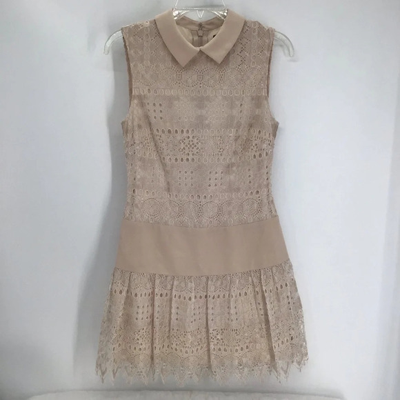 BCBGMAXAZARIA Marsha Delicate Lace Drop Waist Pan Collar Champagne Size 2 - Picture 2 of 9
